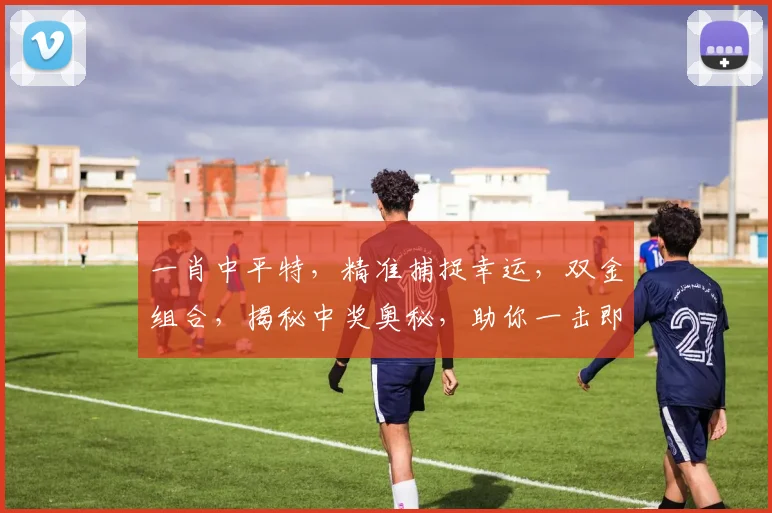 一肖中平特，精准捕捉幸运，双金组合，揭秘中奖奥秘，助你一击即中，喜中大奖